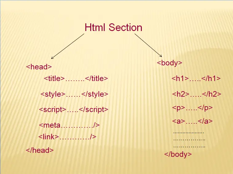 HTML Section